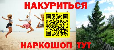 эйфоретик Абинск